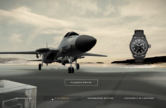 Flight Simulator